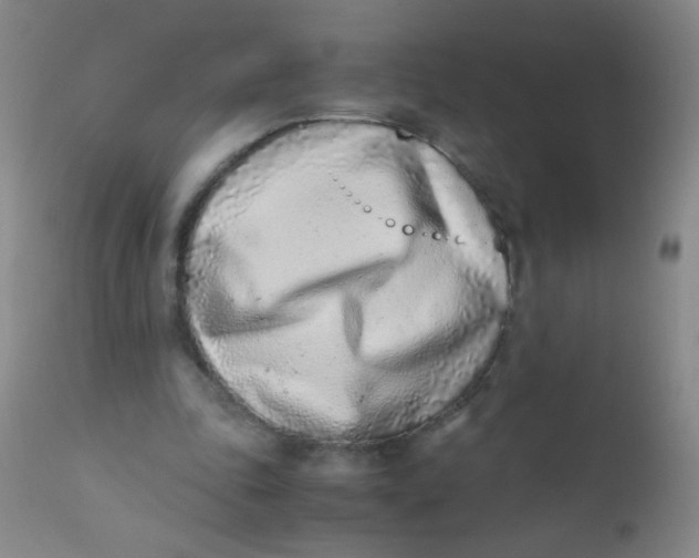 X0000110730343200907022115