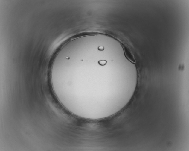 X0000110730344200907022115