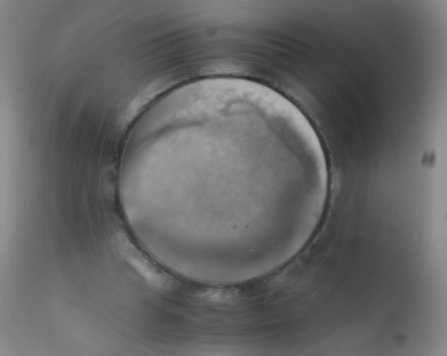 X0000110730345200907022115