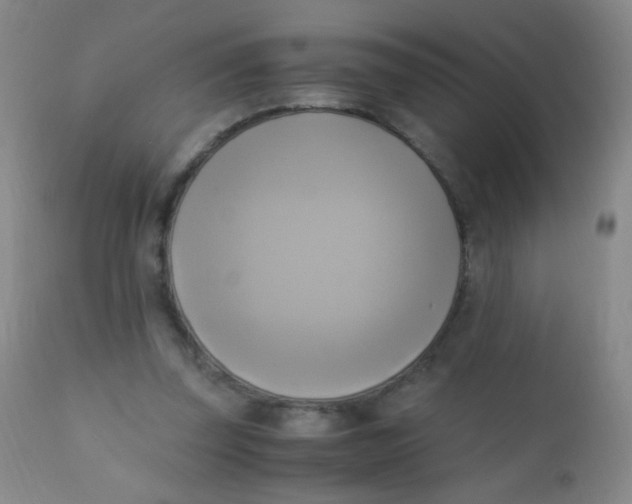 X0000110730347200907022115