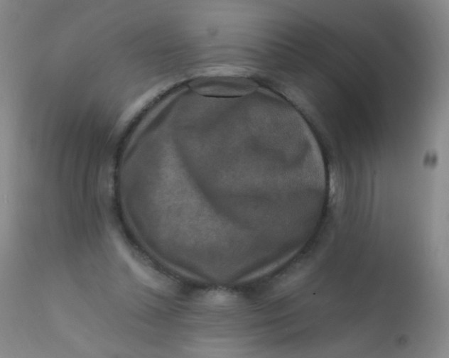 X0000110730348200907022115