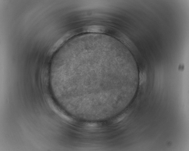 X0000110730349200907022115