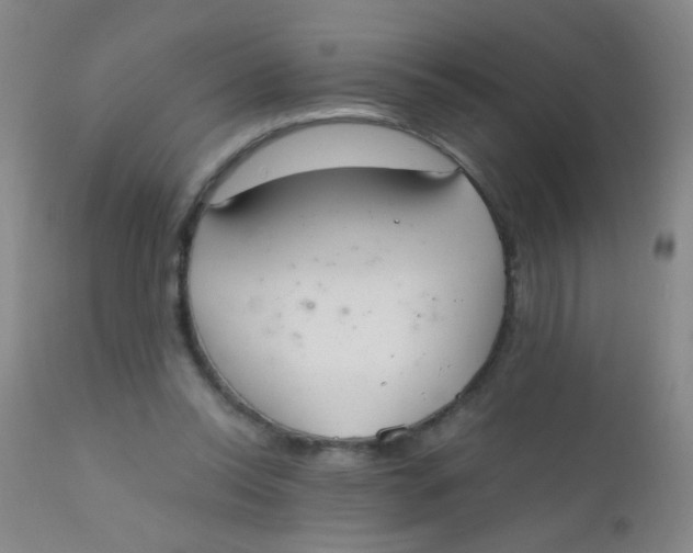 X0000110730350200907022115