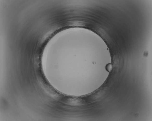 X0000110730351200907022115