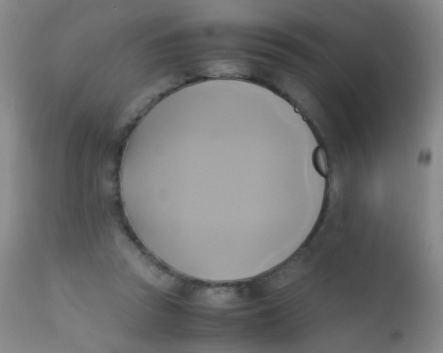 X0000110730353200907022115