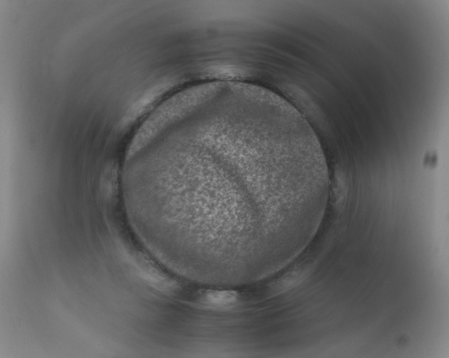 X0000110730355200907022115