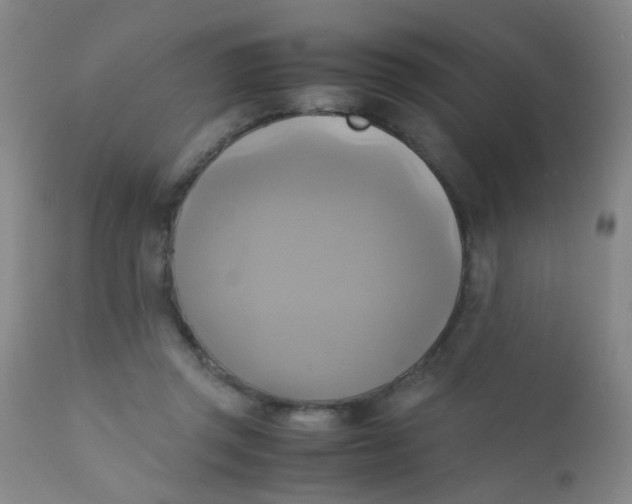 X0000110730357200907022115