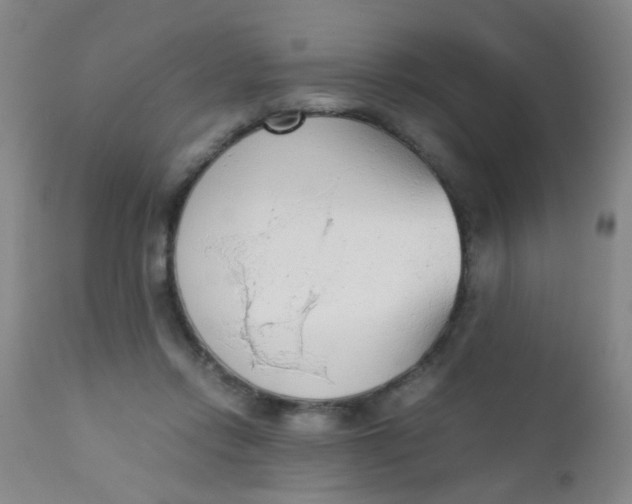 X0000110730358200907022115