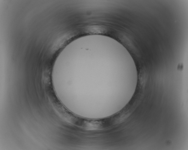 X0000110730359200907022115