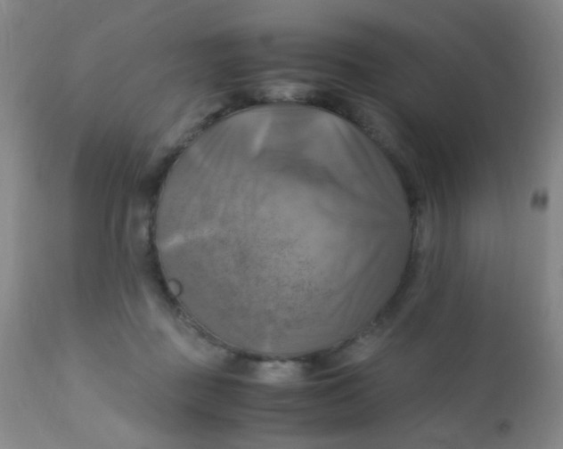 X0000110730363200907022115