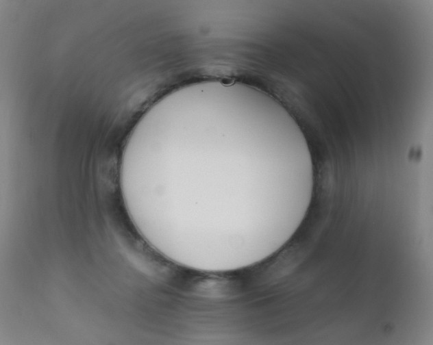 X0000110730364200907022115