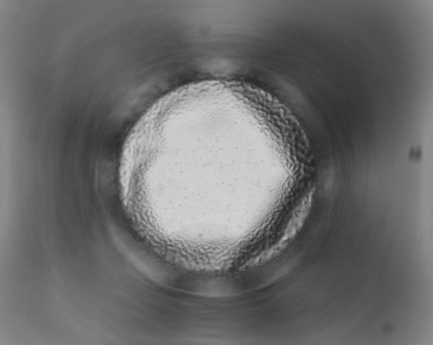 X0000110730365200907022115