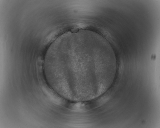 X0000110730366200907022115