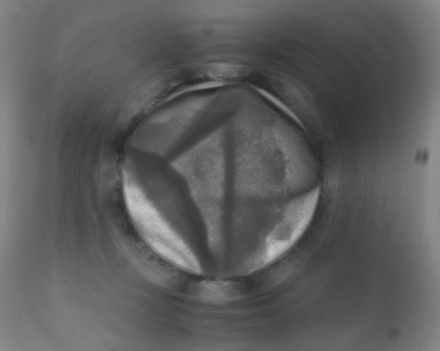 X0000110730367200907022115