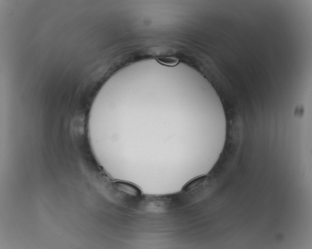 X0000110730368200907022115