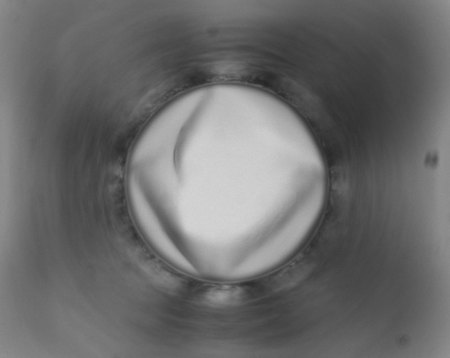 X0000110730369200907022115