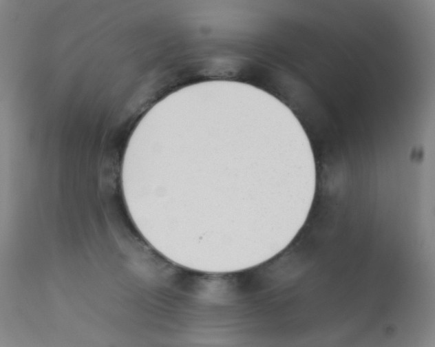 X0000110730370200907022115