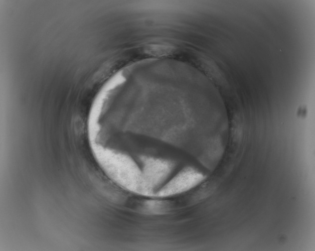 X0000110730371200907022115