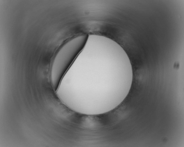 X0000110730372200907022115