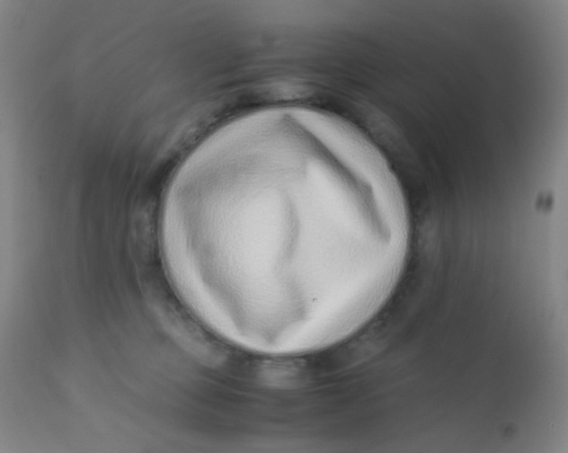 X0000110730373200907022115