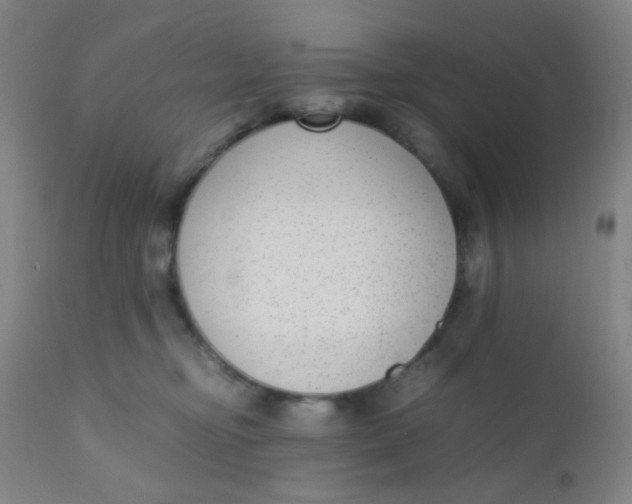 X0000110730374200907022115