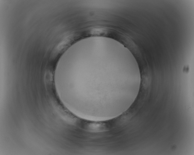 X0000110730375200907022115