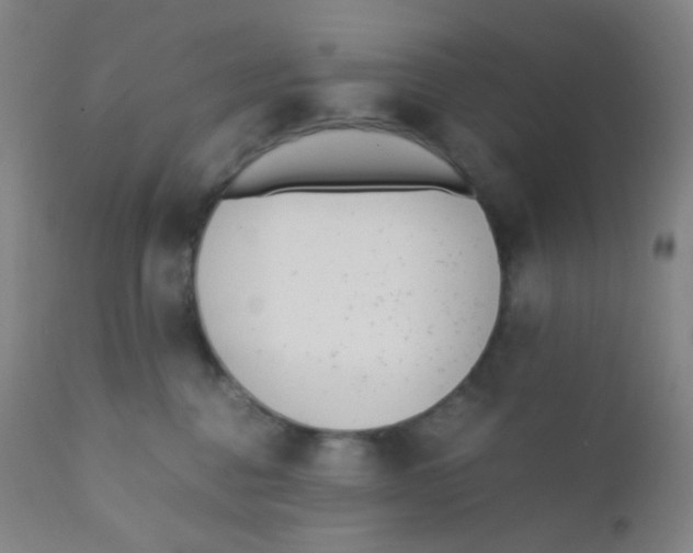 X0000110730376200907022116