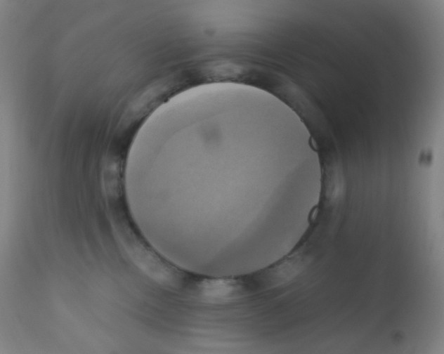 X0000110730378200907022116