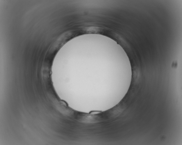 X0000110730379200907022116