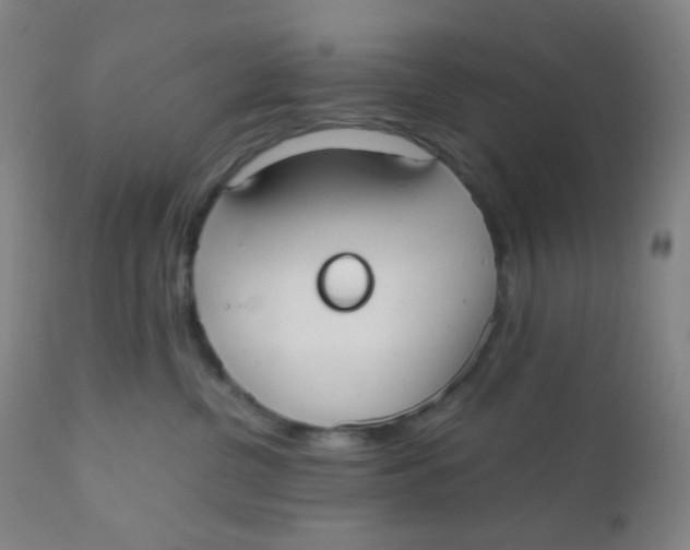 X0000110730380200907022116