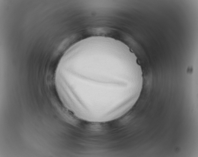 X0000110730381200907022116