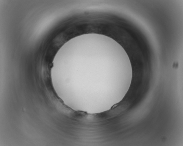 X0000110730382200907022116