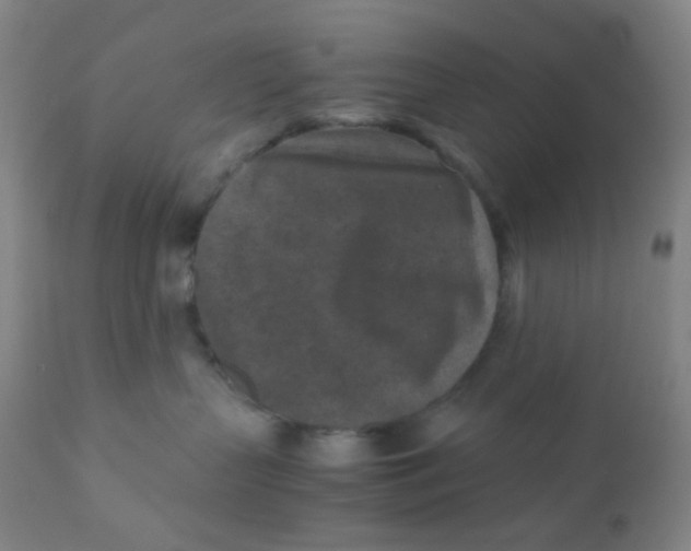 X0000110730383200907022116