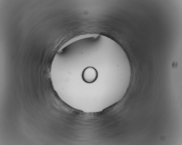 X0000110730384200907022116