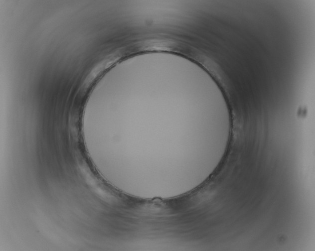 X0000110730386200907022115