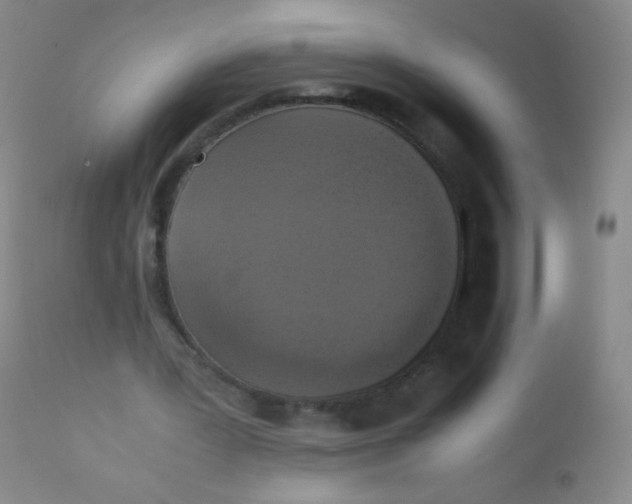 X0000110730387200907022115