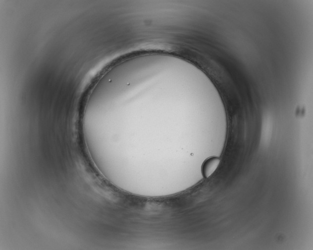 X0000110730388200907022115