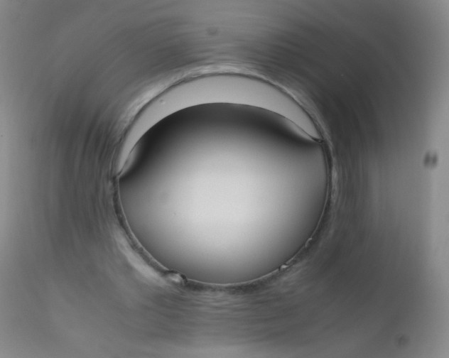 X0000110730389200907022115