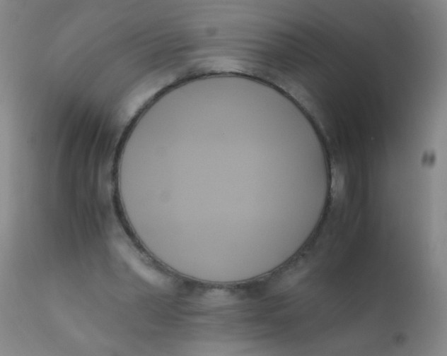 X0000110730390200907022115