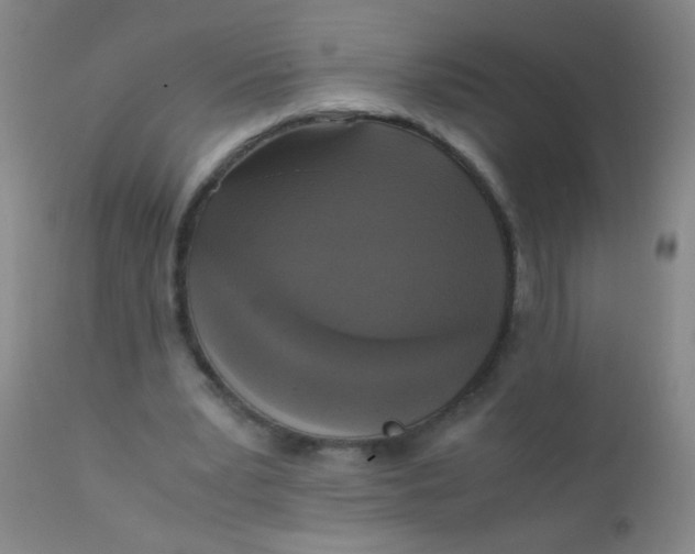 X0000110730391200907022115