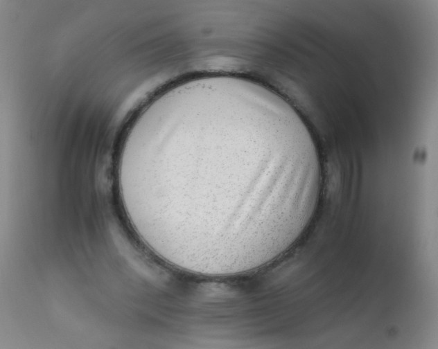 X0000110730392200907022115