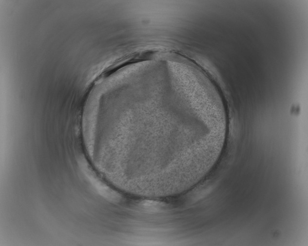 X0000110730393200907022115