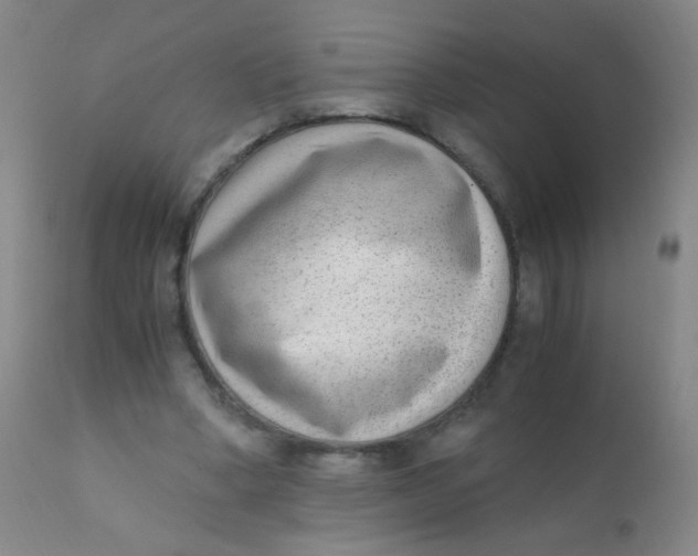 X0000110730394200907022115