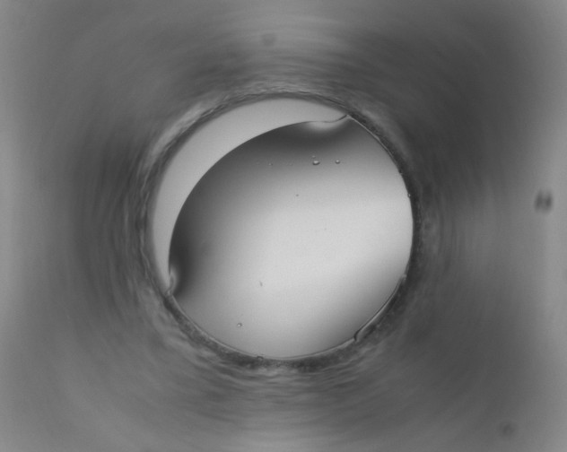 X0000110730395200907022115