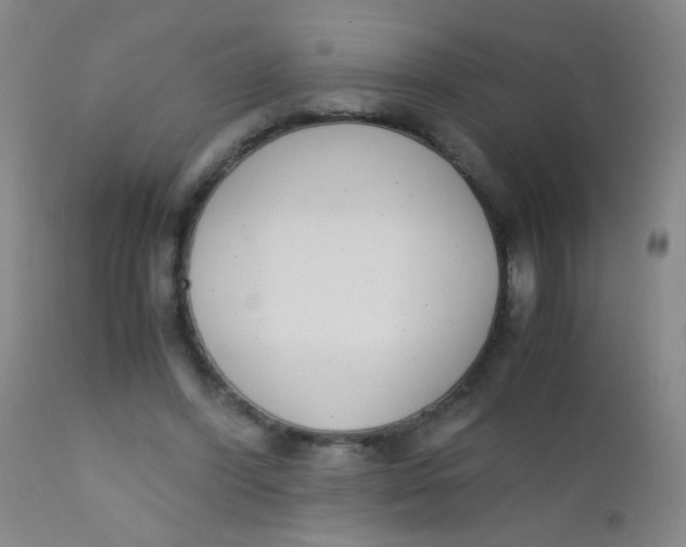 X0000110730396200907022115