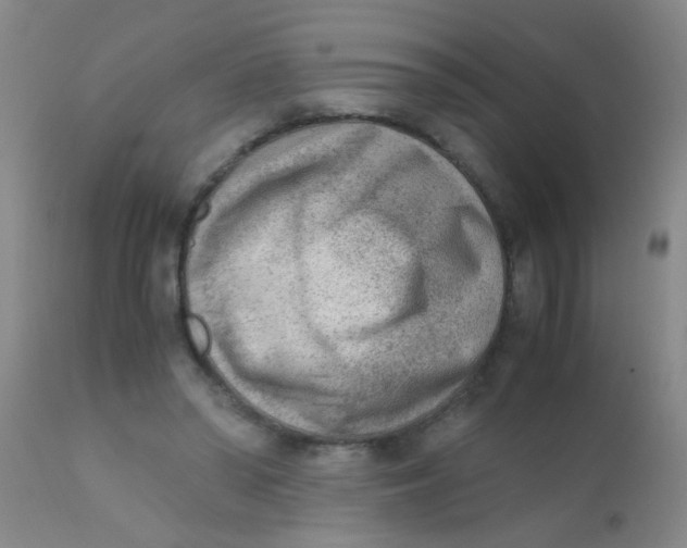 X0000110730398200907022115