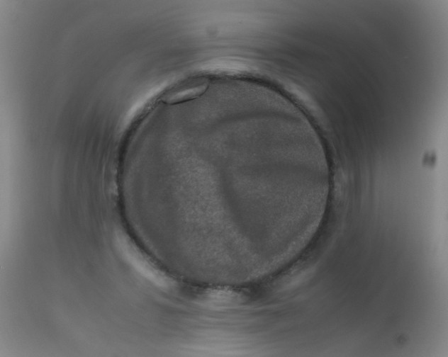 X0000110730399200907022115