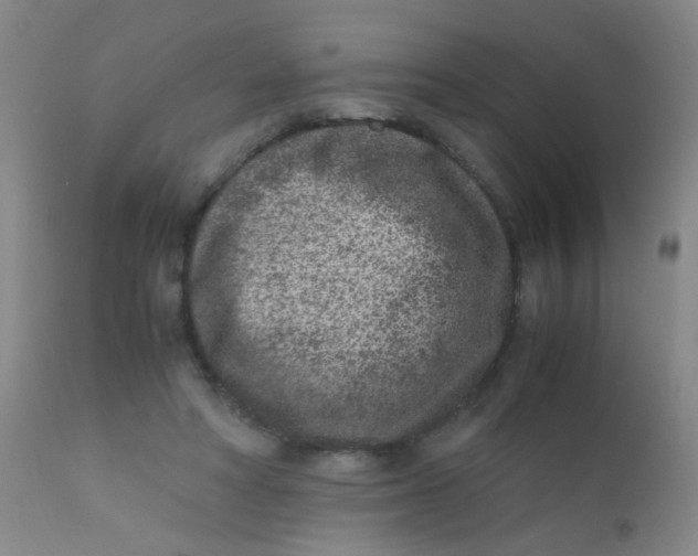 X0000110730402200907022115