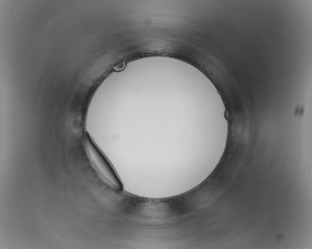 X0000110730403200907022115