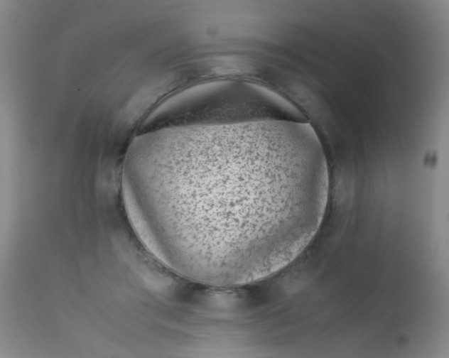 X0000110730405200907022115